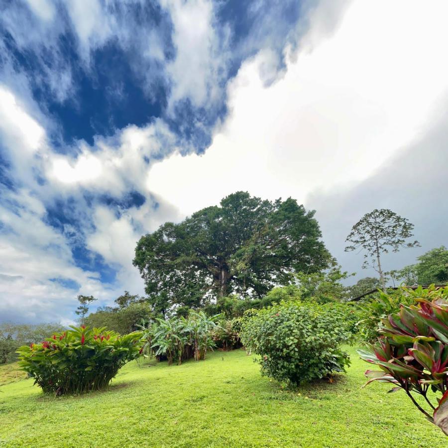 La Ceiba Tree Lodge Tilaran Exterior photo