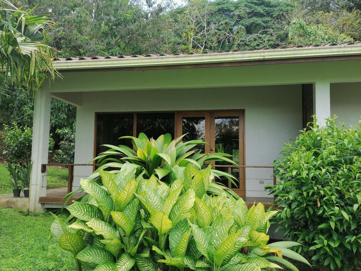 La Ceiba Tree Lodge Tilaran Exterior photo
